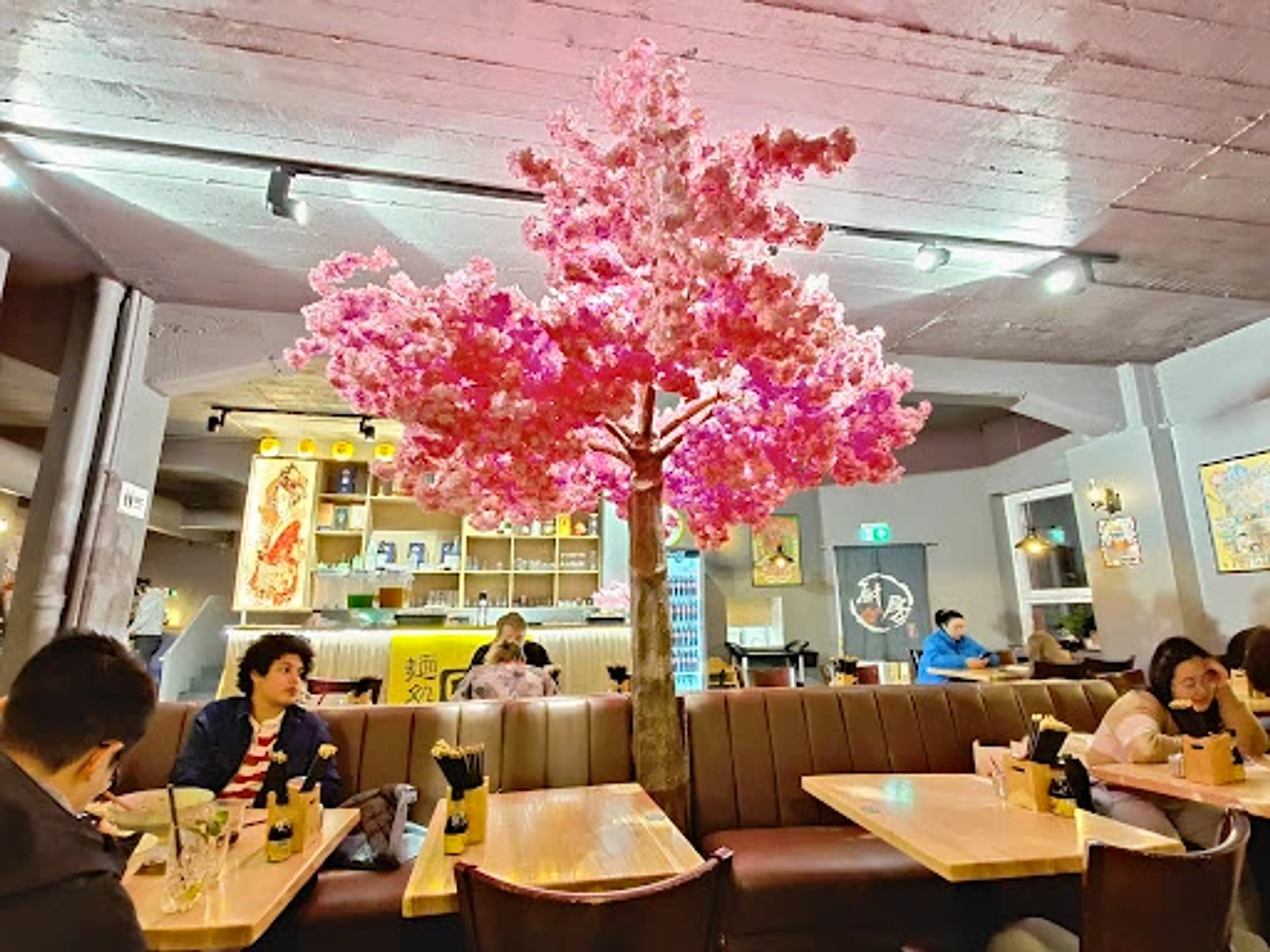 Der Sakura-Baum im Innenraum von Takumi Dortmund
